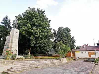 Кметство Крушуна