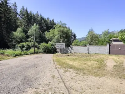 Кметство Борущица