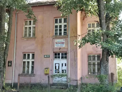 Кметство Борущица