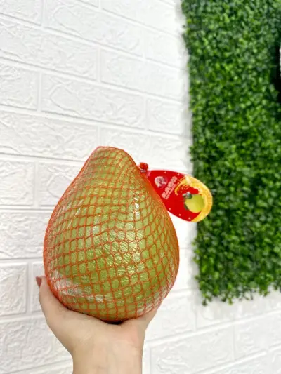 Fruit Land