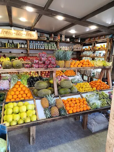 Fresh Eco Fruit
