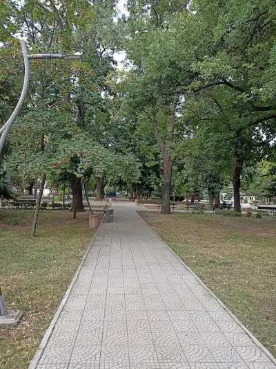 Парк „Белите брези“