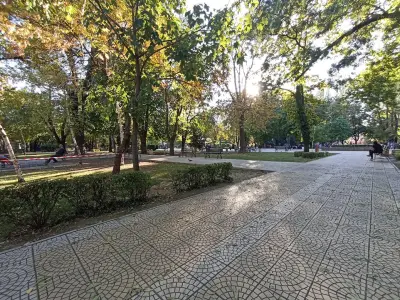 Парк „Белите брези“