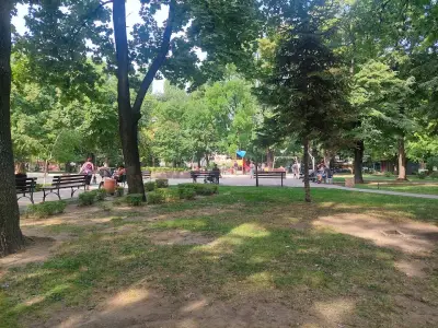 Парк „Белите брези“