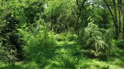 Park „Kosharite“