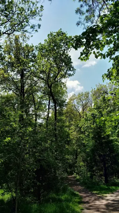 Park „Kosharite“