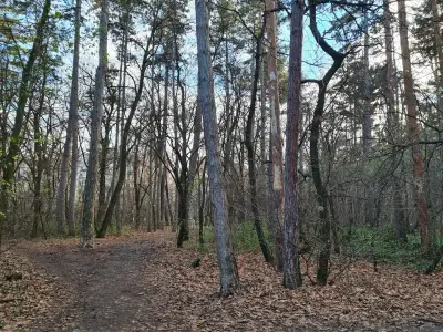 Park „Kosharite“
