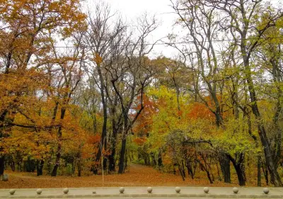 Park „Kosharite“