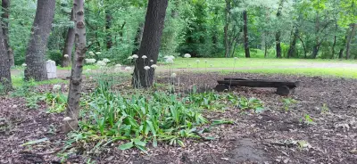 Park „Kosharite“