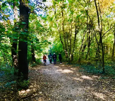 Park „Kosharite“