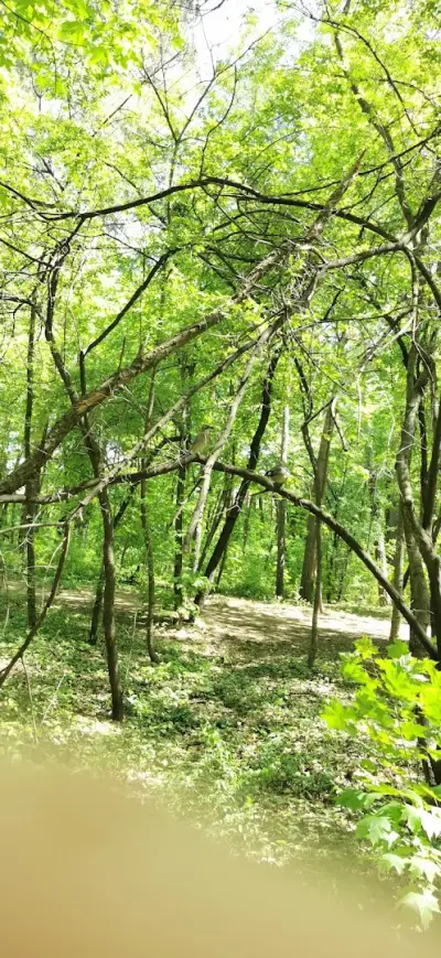 Park „Kosharite“