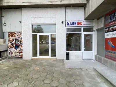 Лев Инс