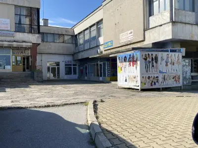 Лев Инс