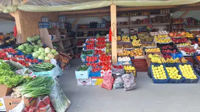 Зеленчукова борса "При Аби"