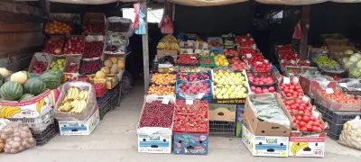 Зеленчукова борса "При Аби"