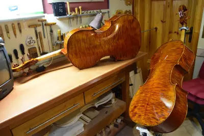 Petrovviolins