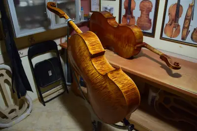 Petrovviolins