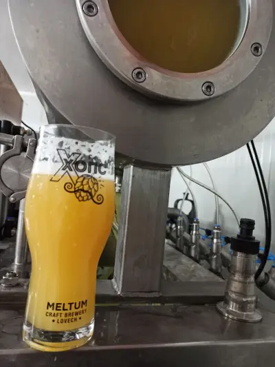 Пивоварна Мелтум (Meltum Brewery)