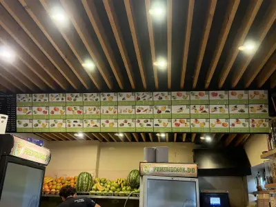 Fresh Zone