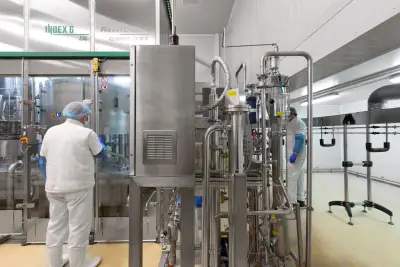 Димитър Маджаров – Млечни и месни продукти