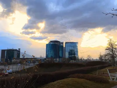 Кюне и Нагел България