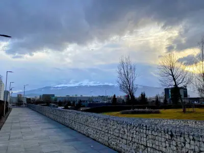 Кюне и Нагел България