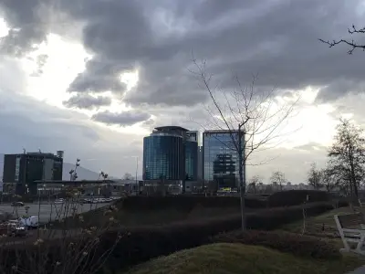 Кюне и Нагел България