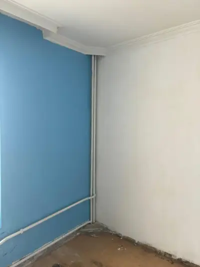 Paint Colors
