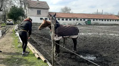 Хиподрум
