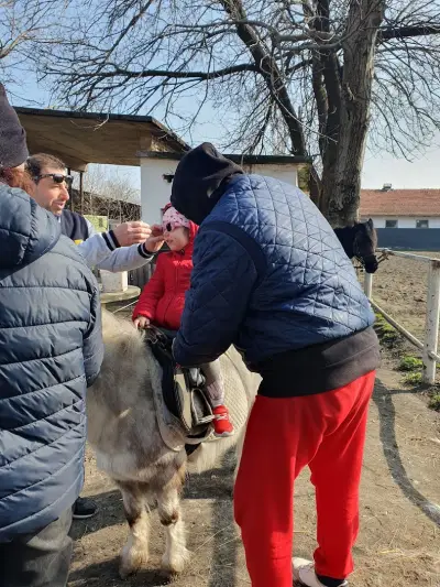 Хиподрум