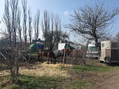Хиподрум