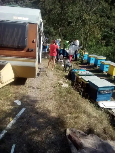 АХ спорт - бънджи скокове Писанец