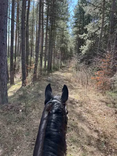 Конна база Кибела
