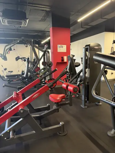 La Palestra