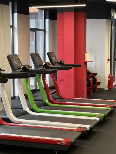 La Palestra