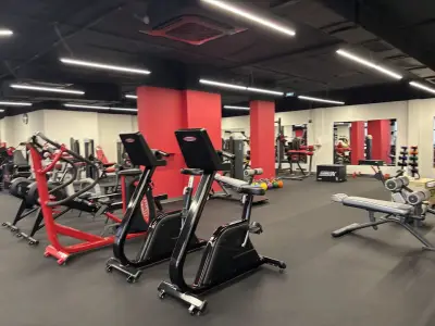 La Palestra
