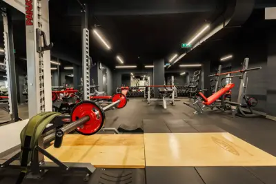 La Palestra