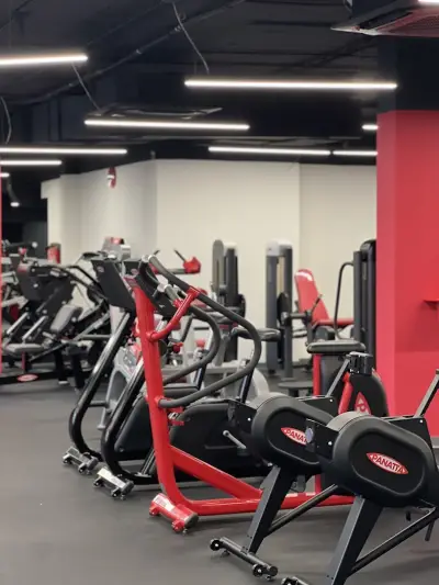 La Palestra