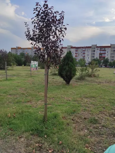 Ротари парк централен вход