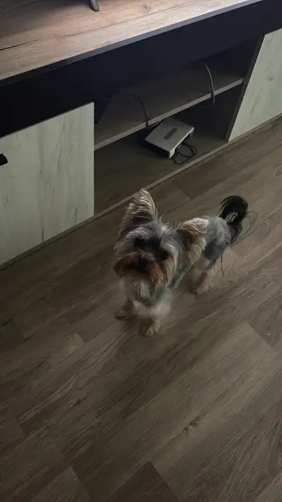 Grooming & Fitness - Maison MJ