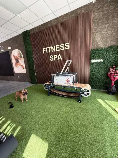 Grooming & Fitness - Maison MJ