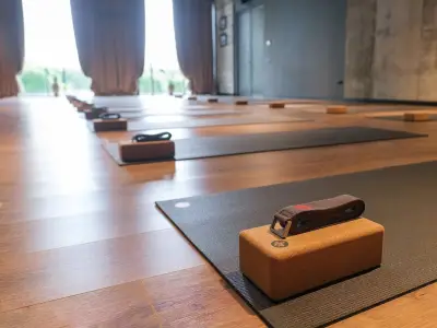YogaLab Каменица парк