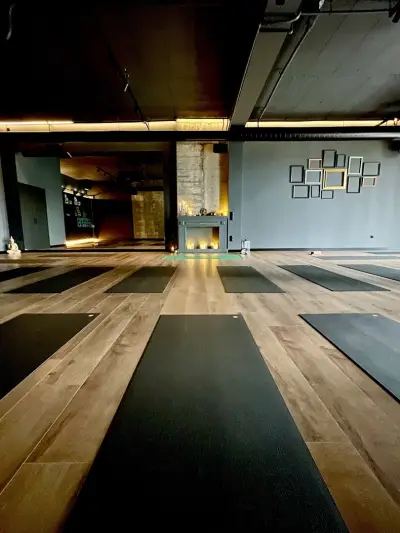 YogaLab Каменица парк