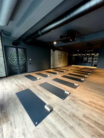 YogaLab Каменица парк