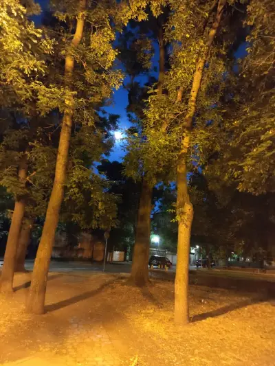 Парк „Кронщад“