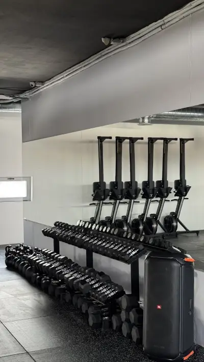REVIVE TRAINING CLUB