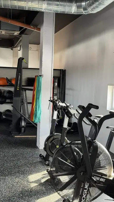 REVIVE TRAINING CLUB