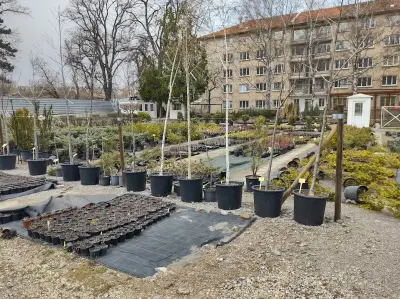 Разсадник на Университетски ботанически градини