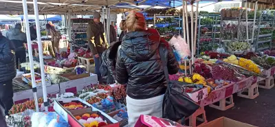 Цветна борса „Ботевградско шосе“