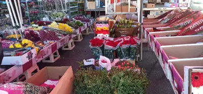 Цветна борса „Ботевградско шосе“